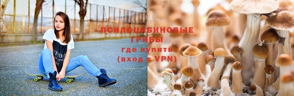 бутират Покачи